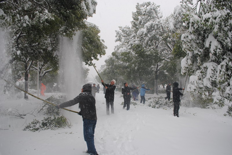 淮南師范學(xué)院召開抗雪防災(zāi)工作會議，加強(qiáng)校園安全工作