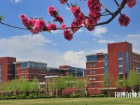 河北大學師范學院新校區(qū)2023年招生辦聯(lián)系電話