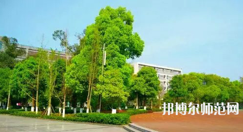 重慶市九龍坡幼師職業(yè)教育中心怎么樣、好不好。