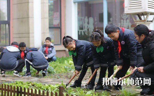 江蘇2022年去讀小學教育學校學什么對以后好一點