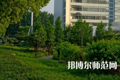 南陽理工師范學院2023年有哪些專業(yè)