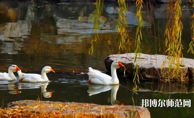 山東財(cái)經(jīng)師范大學(xué)萊蕪校區(qū)2023年報(bào)名條件、招生要求、招生對象 