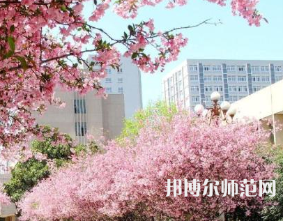 中國礦業(yè)師范大學徐海學院2023年報名條件、招生要求、招生對象