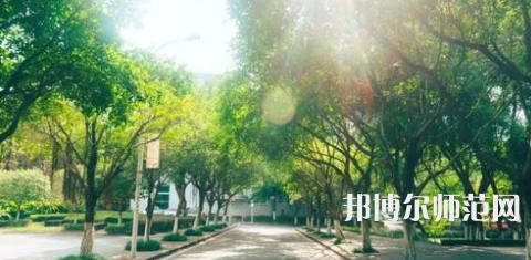 重慶師范大學(xué)涉外商貿(mào)學(xué)院合川校區(qū)2023年報名條件、招生要求、招生對象 