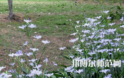 湖南第一師范學(xué)院城南書院校區(qū)2023年怎么樣、好不好