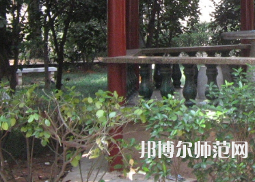 湖南師范大學(xué)樹達(dá)學(xué)院2023年有哪些專業(yè)