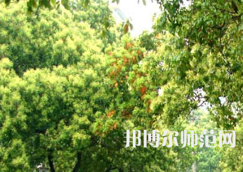 衡陽師范學(xué)院南岳學(xué)院2023年怎么樣、好不好