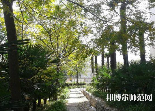 西北大學師范學院桃園校區(qū)2023年怎么樣、好不好